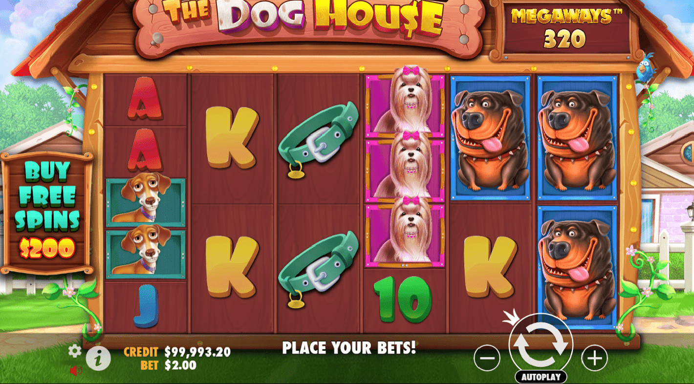 dog house megaways gaming