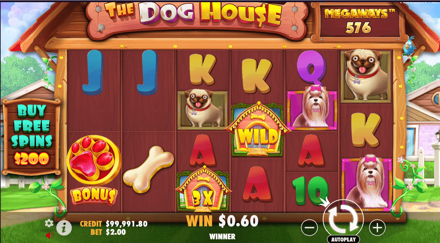 dog house megaways slots